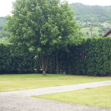 Pensiunea Hyperion Cormaia Guest house Singeorz-Bai